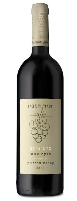 כרם מרום חלקת שמאי 2011.